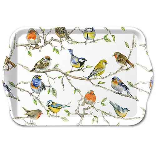 Small BIRDS MEETING Tray