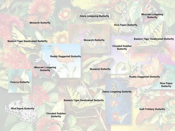 BUTTERFLY GARDEN 500 PC Puzzle