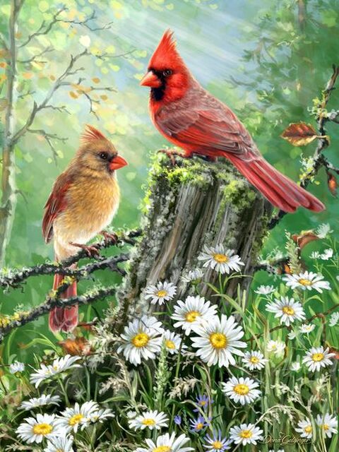 Golden Light 500 PC Puzzle