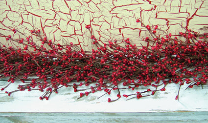 48" Red Pip Garland