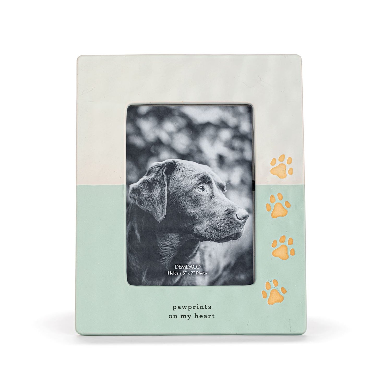 Paw Prints 5X7 Frame