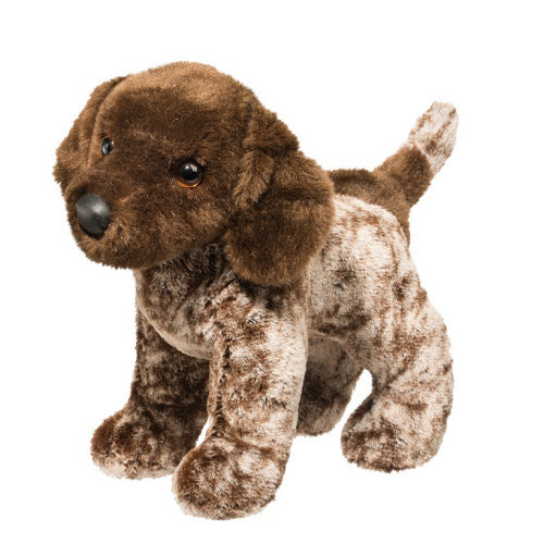 *IVAN GERMAN POINTER