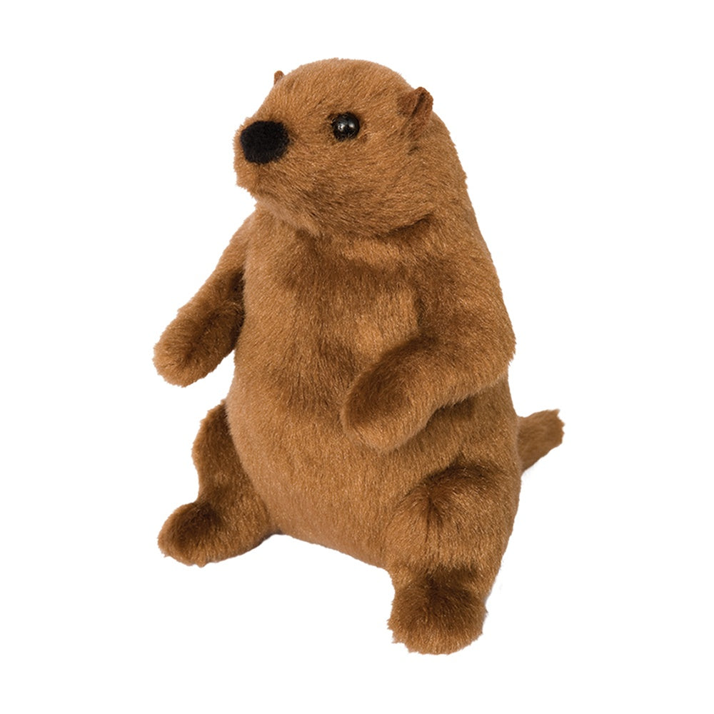 *Mr G Groundhog