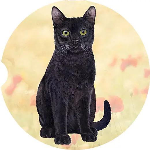 BLACK TABBY CAT CAR COASTER