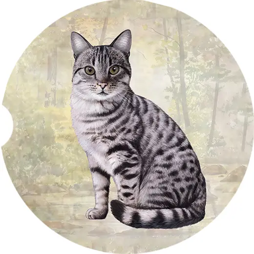 SILVER TABBY CAT CAR COASTER