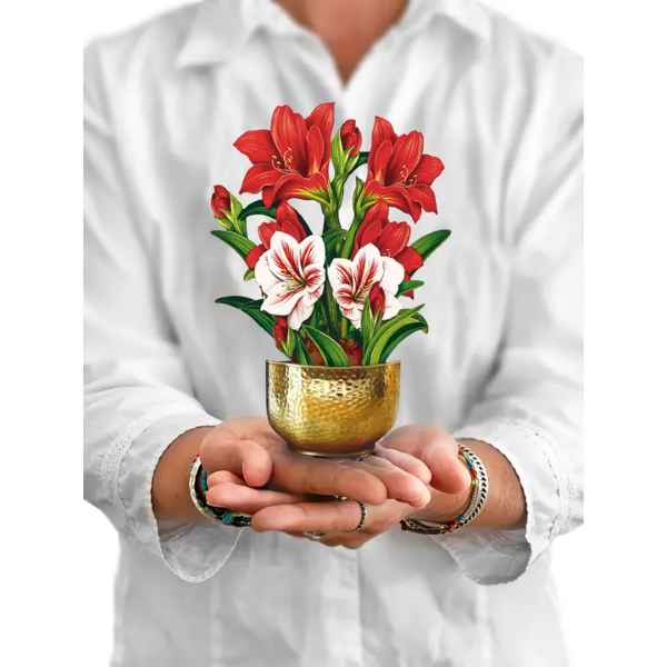 Scarlet Amaryllis Pop Up Card