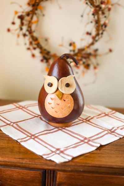 Professor Owl Gourd Large