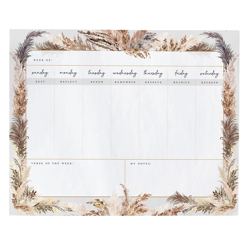 Fully Known Planner