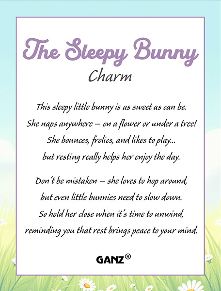 SLEEPY BUNNY POCKET TOKEN