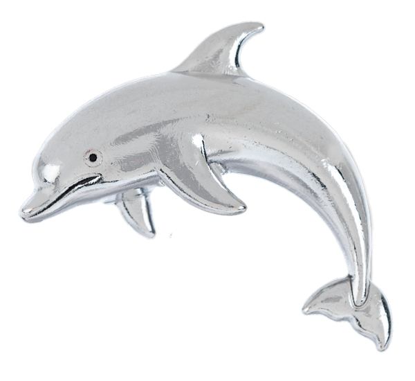 DOLPHIN Pocket Token