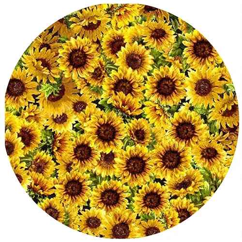 Sunflower Jar Opener
