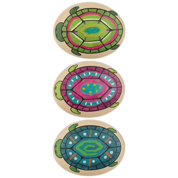 Turtle Stone