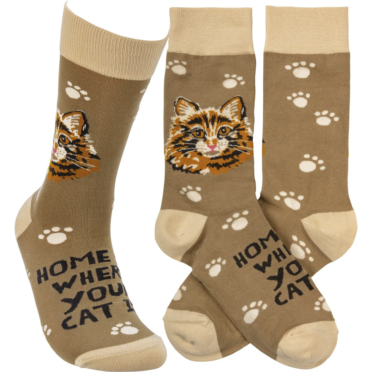 Where Your Cat Is Socks