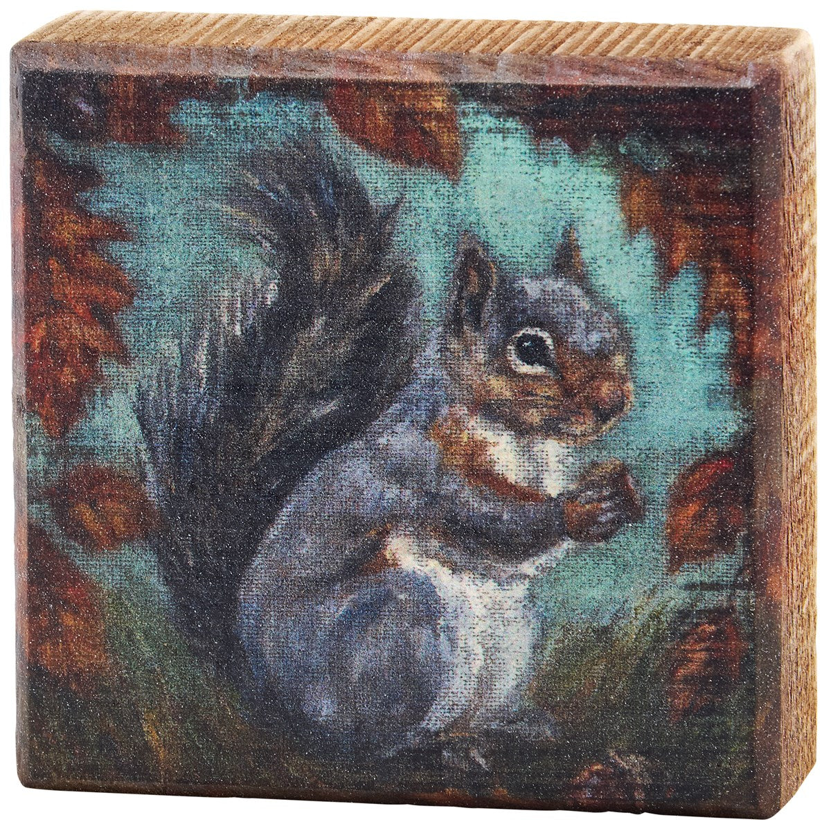Curious Squirrel Block Sign