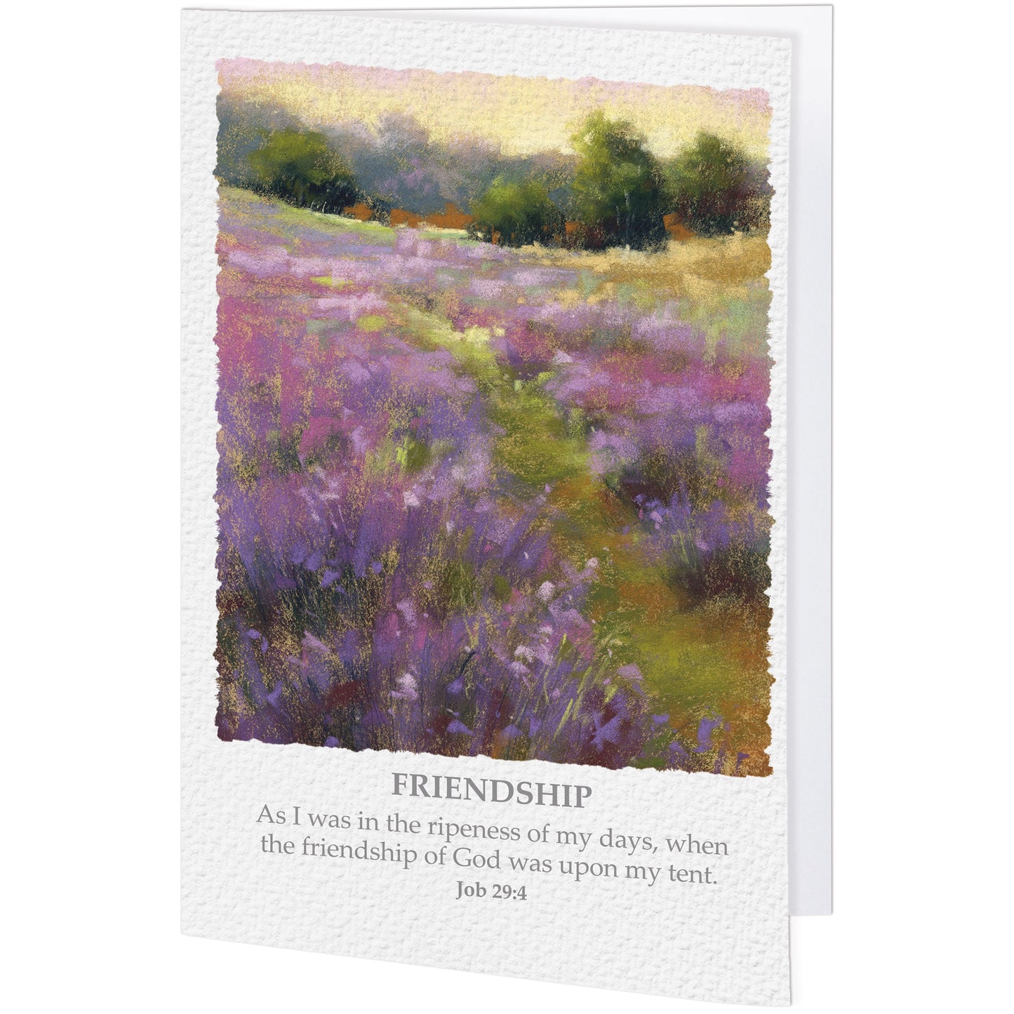 Friendship Blank Card