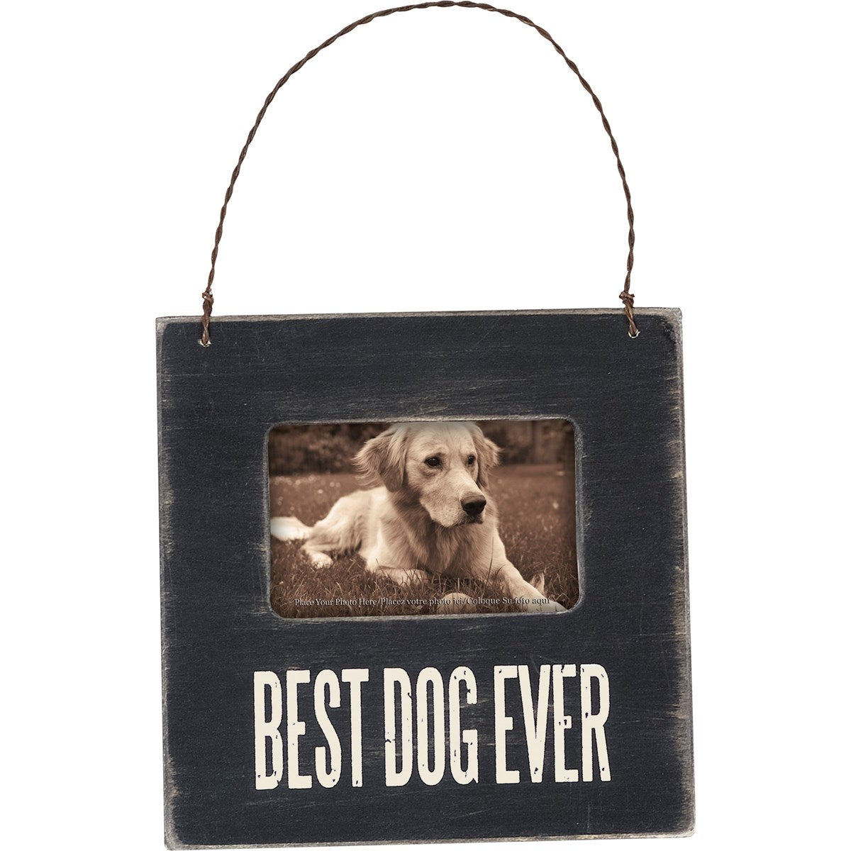 BEST DOG MINI FRAME