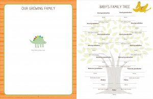 1st Five Years Dinosaur Baby Book