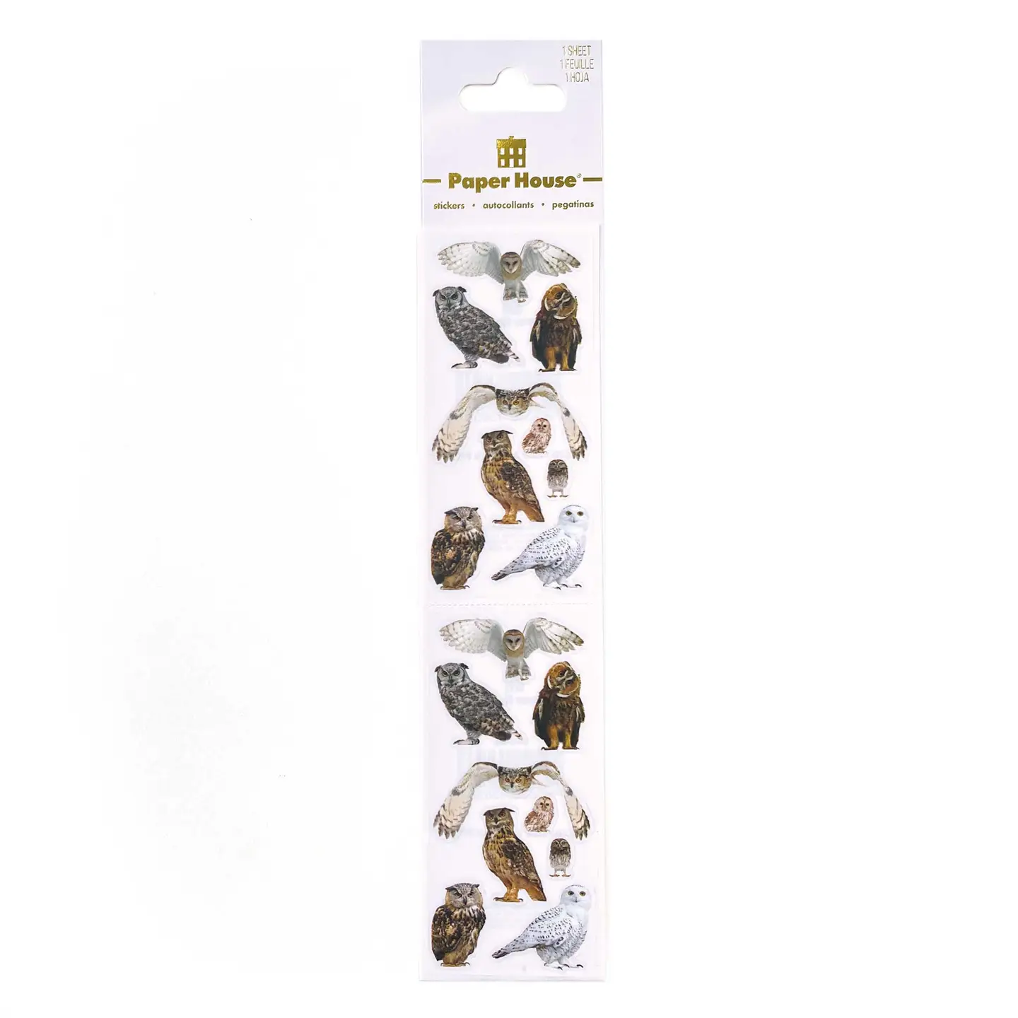Owls Photgraphic Stickers