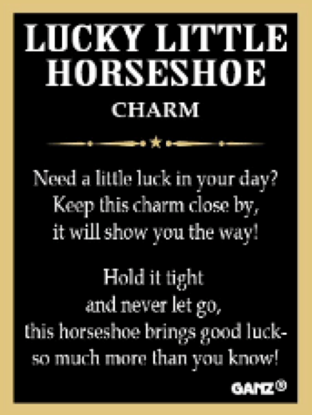 Lucky Little Horseshoe Pocket Token