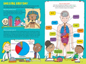 100 Questions About the Human Body