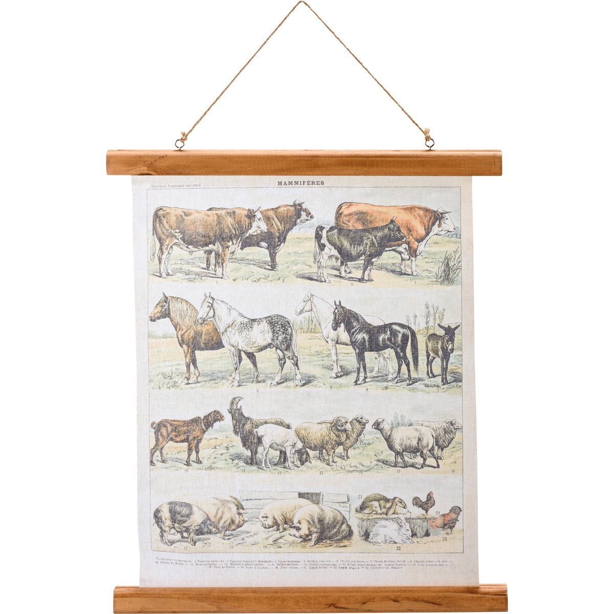 Farm Animals Wall Decor