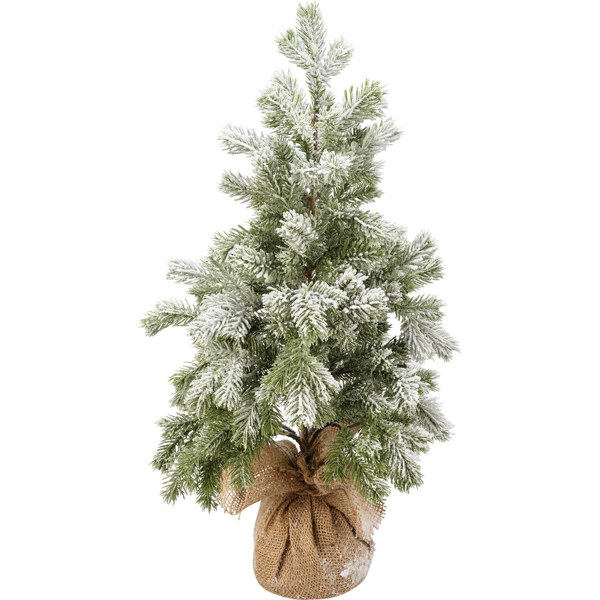 LARGE SNOW COVERED TREE