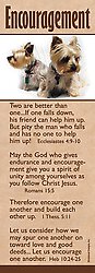 ENCOURAGEMENT Bookmark Pack 10