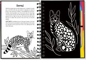 WILD CATS Scratch & Sketch