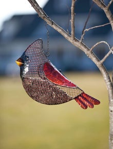 Cardinal Bird Feeder