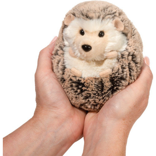 Spunky Hedgehog