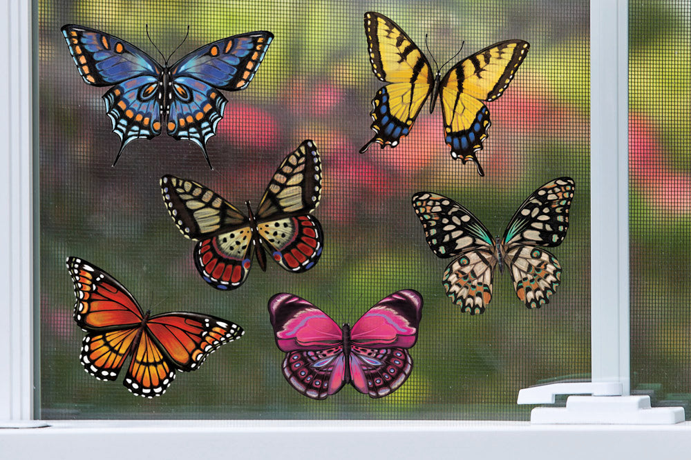 Butterfly Screen saver