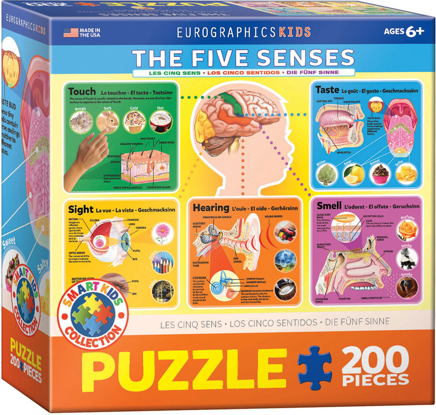 The 5 Senses 200PC Puzzle