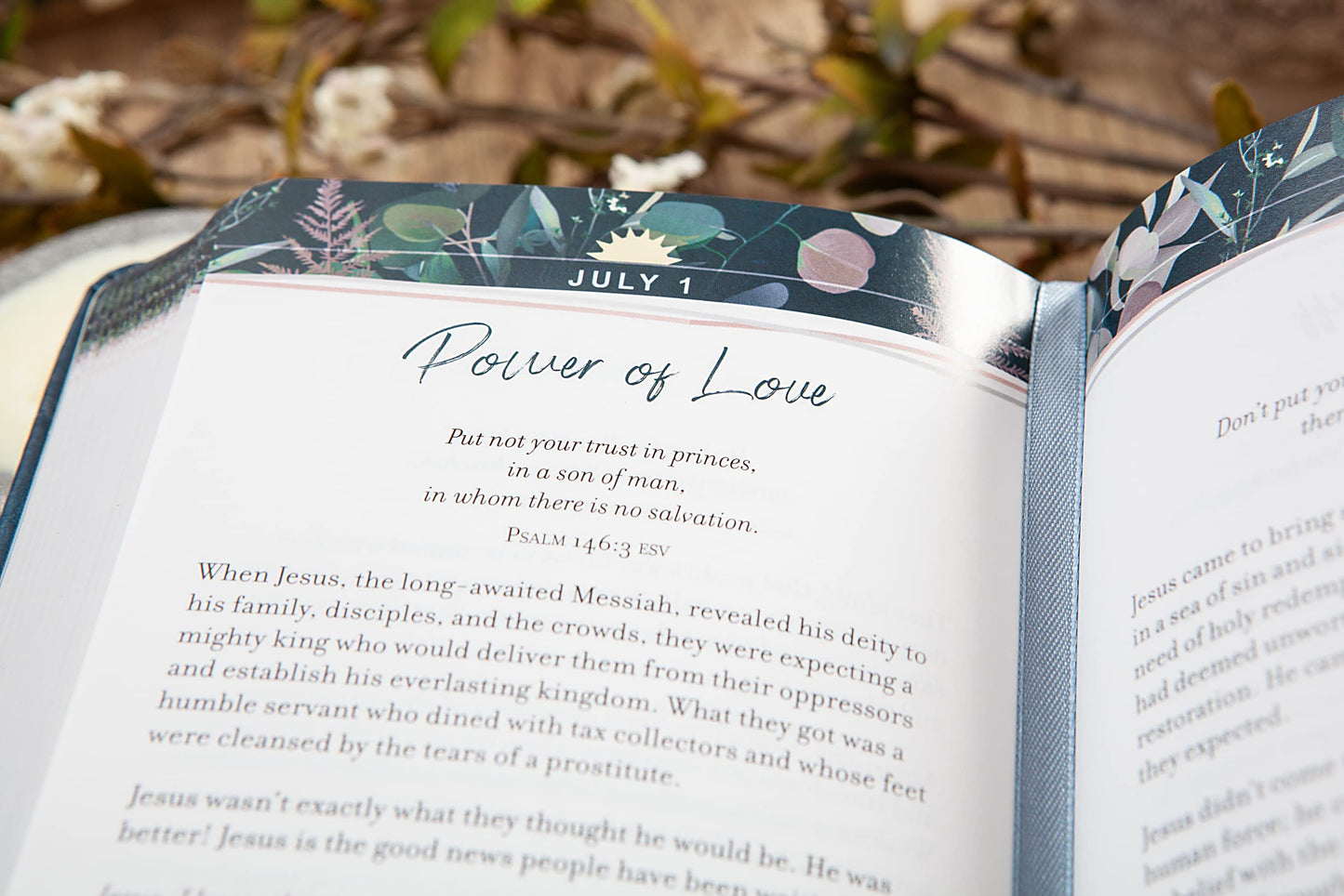 365 Days of Psalms