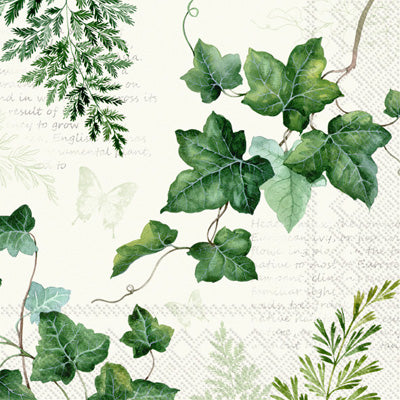 ELWIN GREENS ON CREAM BEVERAGE NAPKINS