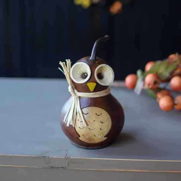 Professor Owl Gourd