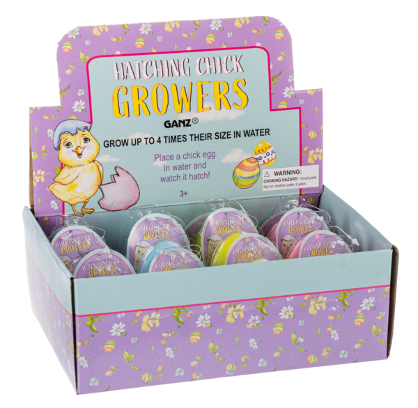 Hatching Chick - Asst