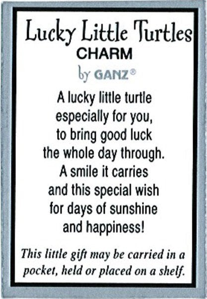 TURTLE POCKET CHARM