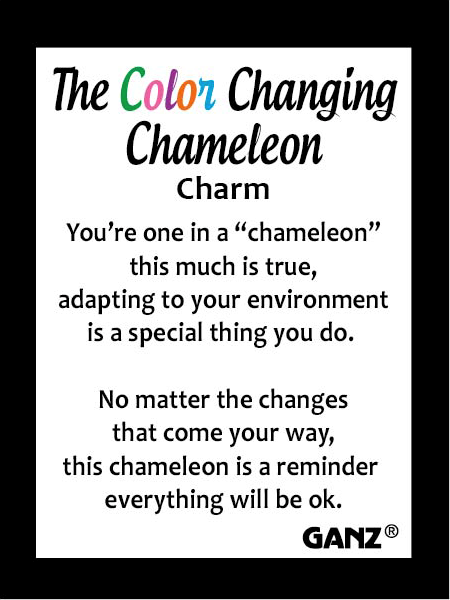 Colorful Chameleon Pocket Token