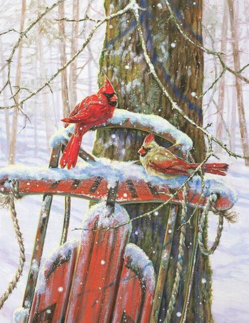 Peaceful Moments 500 PC Puzzle