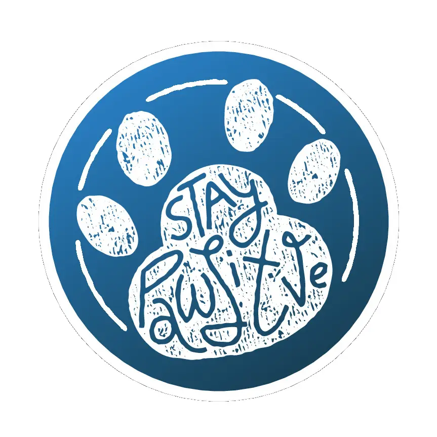 Stay Pawsitive Sticker