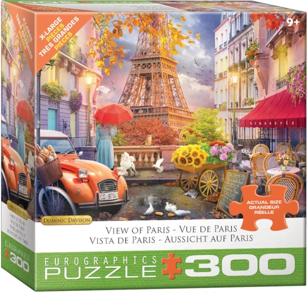 VIEW OF PARIS 300PC