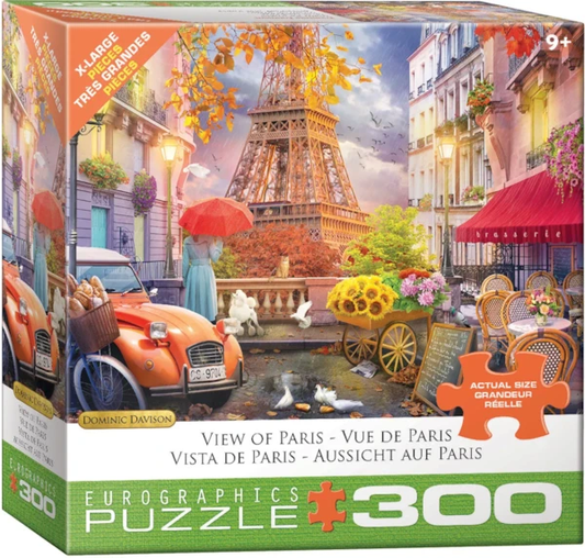 VIEW OF PARIS 300PC