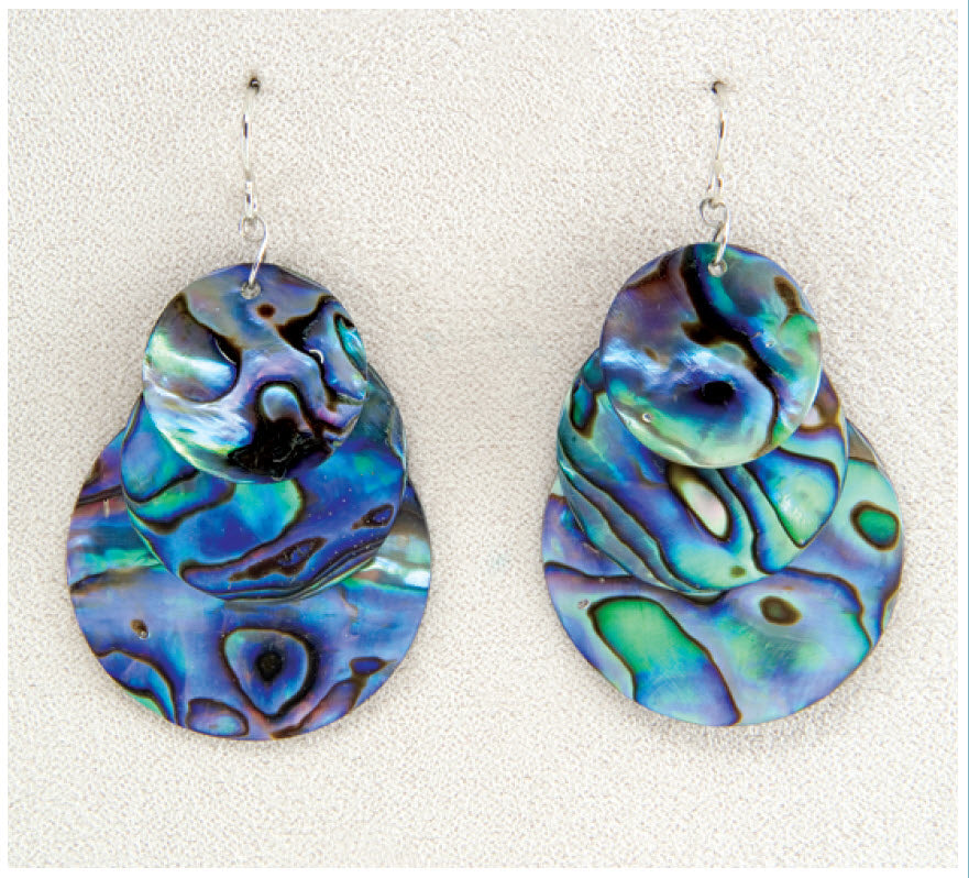 Reflections Earrings
