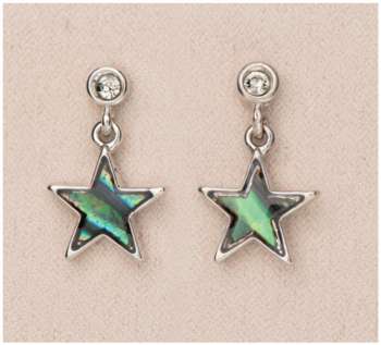 SHINING STAR EARRINGS