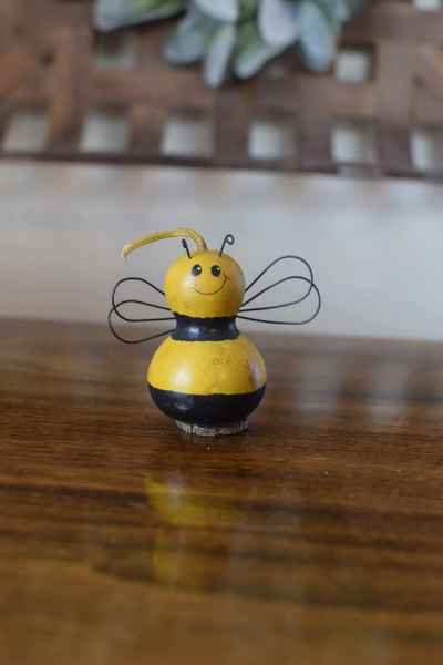 BUMBLE BEE TINY GOURD