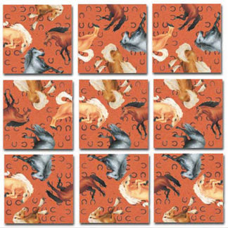 Horses Puzzle