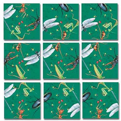Insects Puzzle