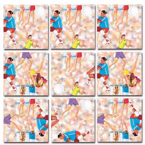 Volleyball Puzzle