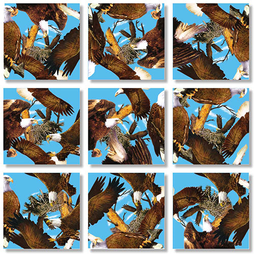 Bald Eagles Puzzle