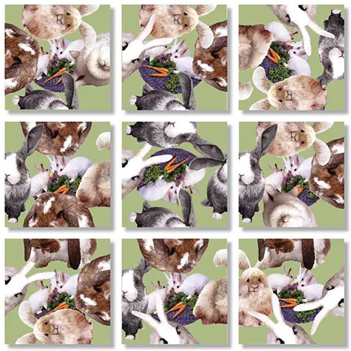 Bunnies Puzzle